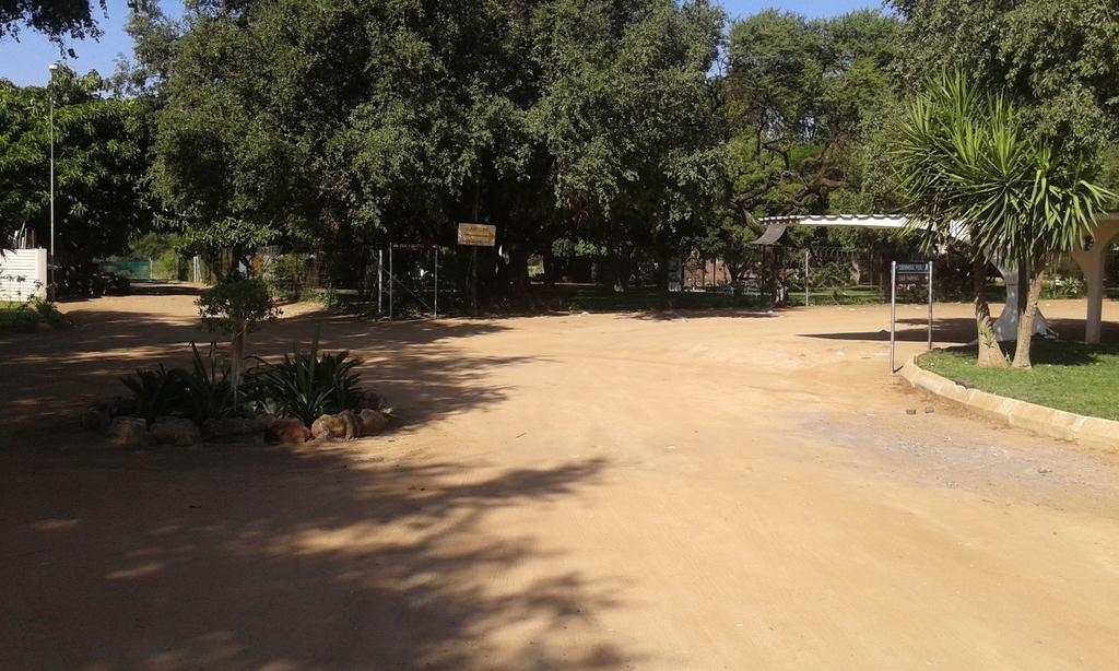 Black Swan Guest House Boshoek Екстериор снимка